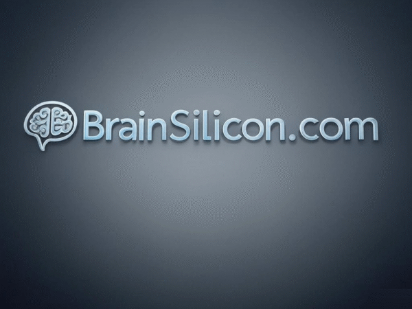 BrainSilicon.com