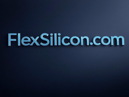 FlexSilicon.com
