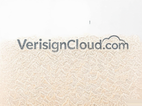 VerisignCloud.com